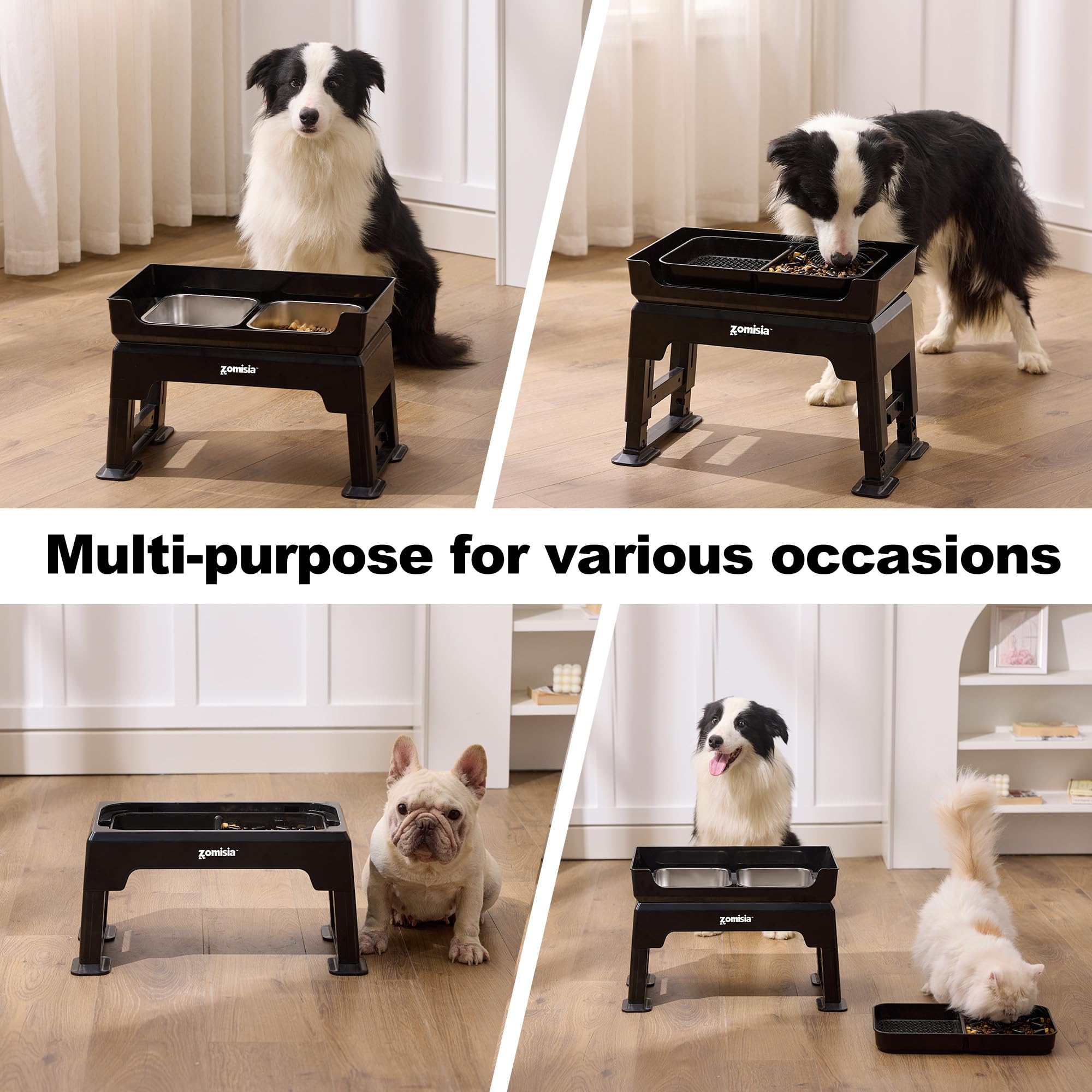 ZOMISIA ideal para perros medianos y grandes durante la comida.