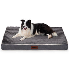 Cama ZOMISIA XL en jaula de 42 pulgadas para mayor estabilidad