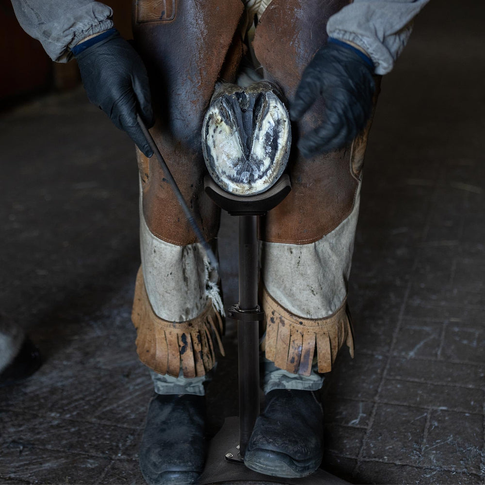 Zonon diseño estable para uso seguro por herradores y dueños de caballos.