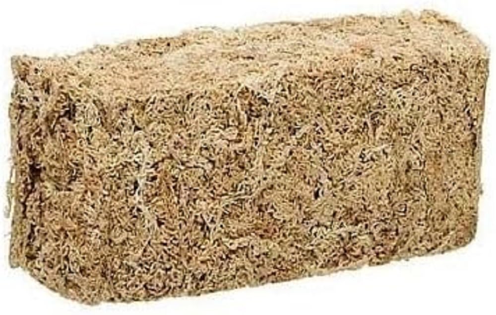 Zoo Med musgo esfagno Nueva Zelanda para terrarios, retiene humedad para plantas.