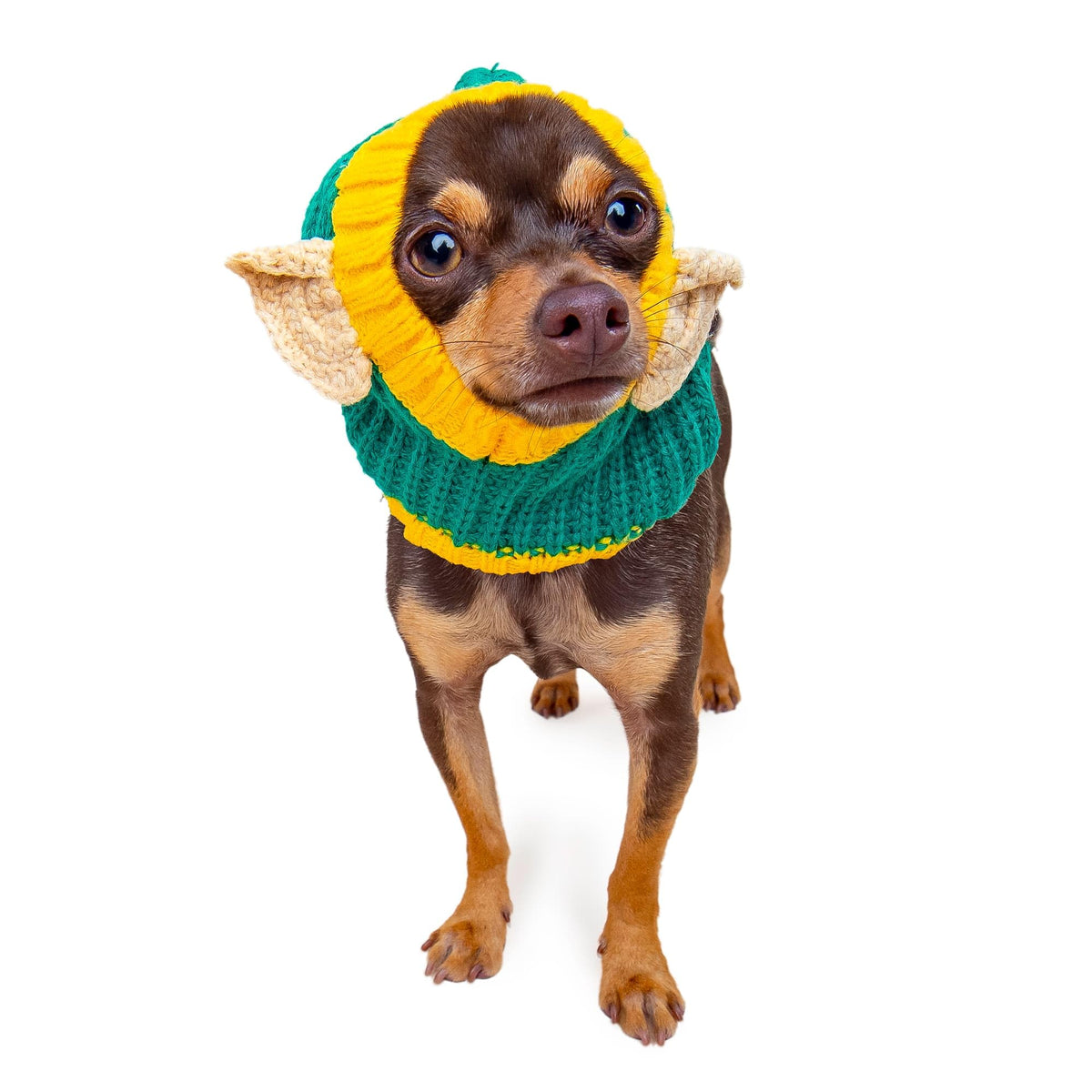 Zoo Snoods disfraz de elfo navideño, ideal para fotos festivas de tu mascota.