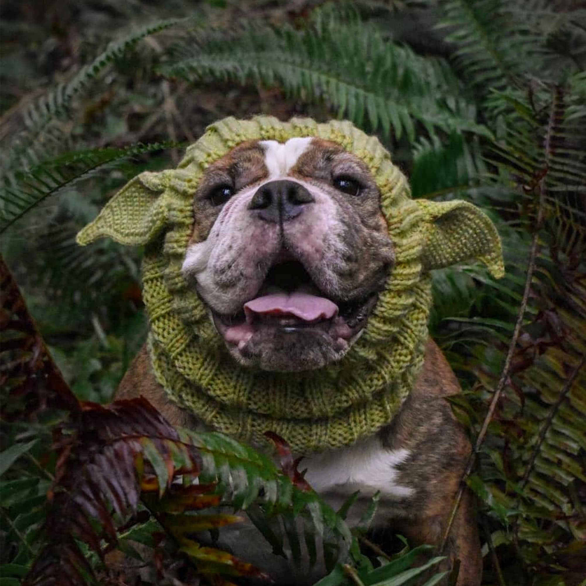 Zoo Snoods extraterrestre snood, hecho a mano con cuidado