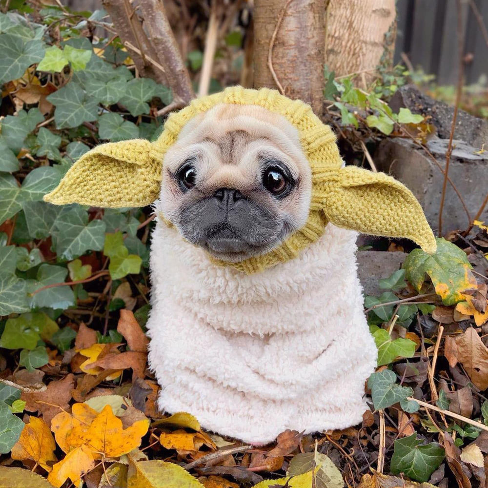 Zoo Snoods extraterrestre snood, protege contra suciedad y humedad