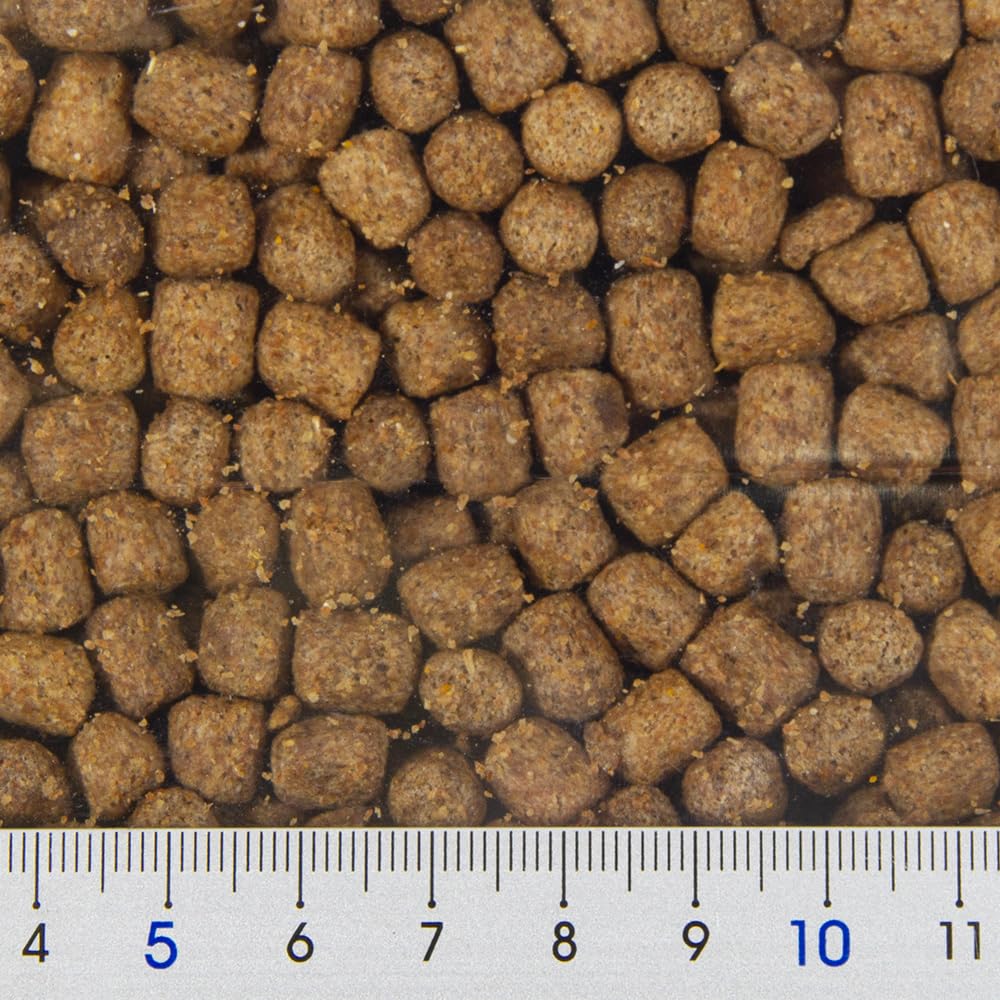 Zoo Med alimento tortugas acuáticas en crecimiento, gránulos para desarrollo continuo.
