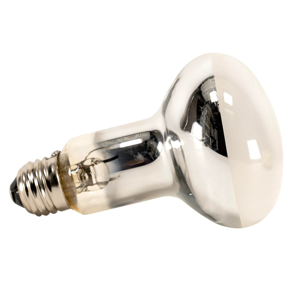 PowerSun UV 80W ideal para terrarios grandes