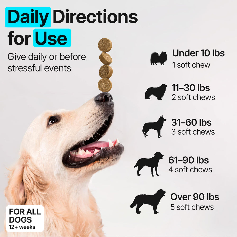 Apoyo a la digestión y equilibrio intestinal de perros.