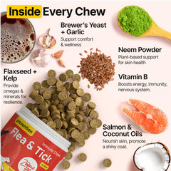 Zoomezen ingredientes neem y alga para piel y pelaje.