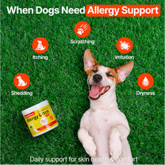 Zoomezen probióticos, equilibrio digestivo y defensa natural para perros