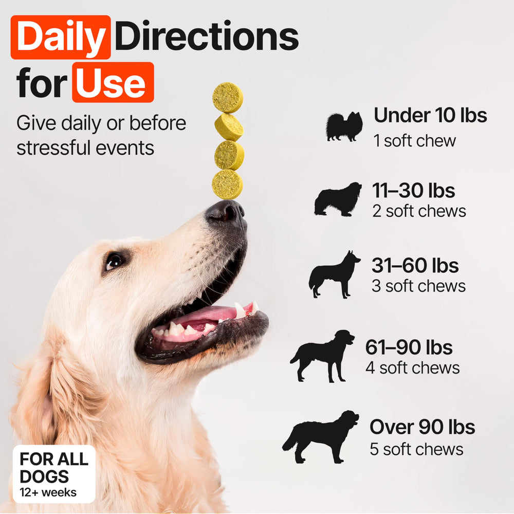 Zoomezen sabor natural, fácil de dar y agradable para perros