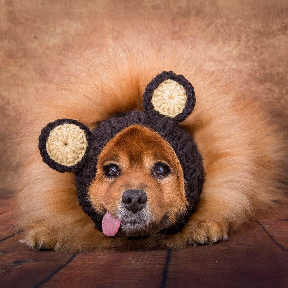 Disfraz de oso para perros grandes de Zoo Snoods
