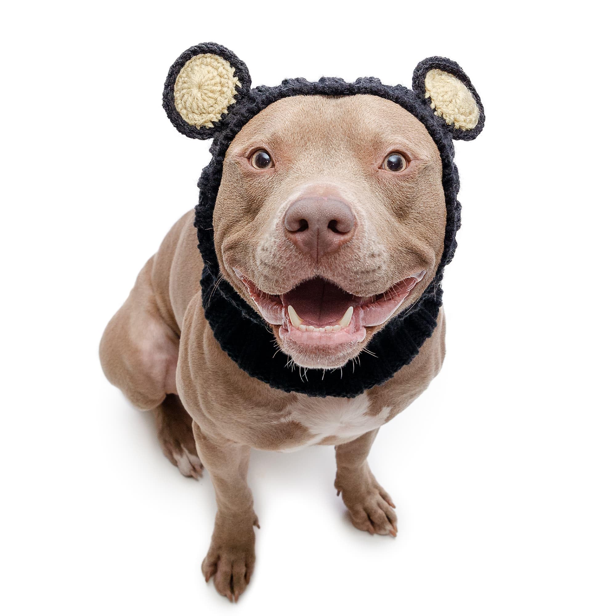 Zoo Snoods disfraz oso negro para perro grande cubre cuello y orejas cálidamente