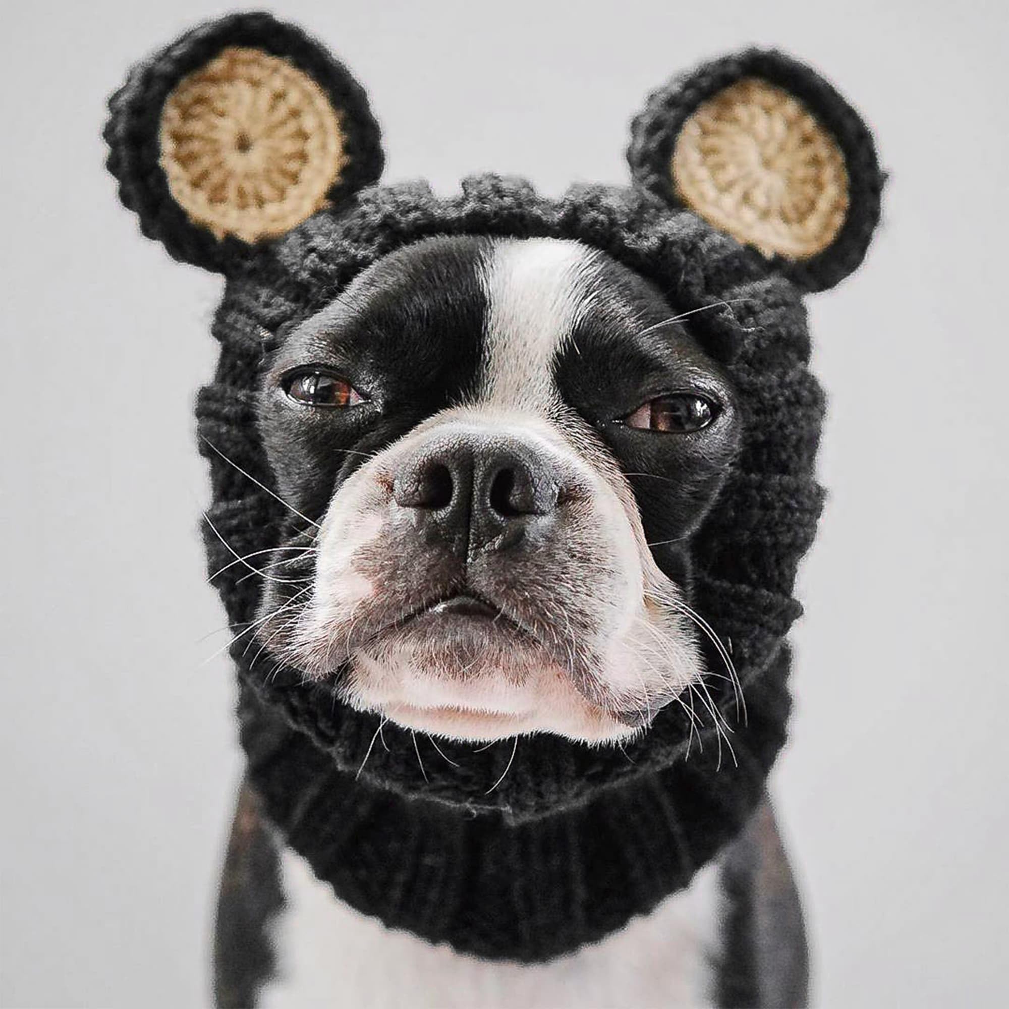 Textura de tejido tricotado de Zoo Snoods para mascota
