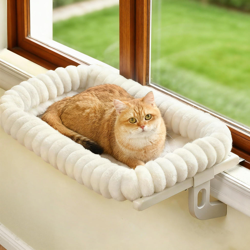 Zoratoo nido ventana gato nube: lugar cómodo para observar el exterior.