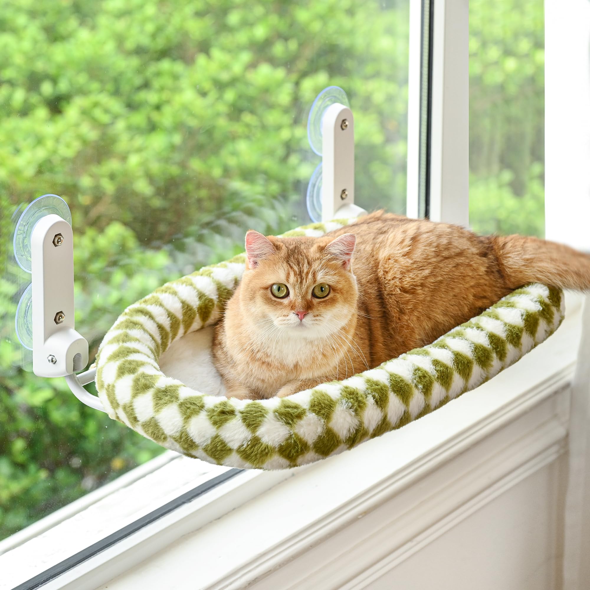 Zoratoo percha de ventana para gatos con cojín, observación segura desde casa.