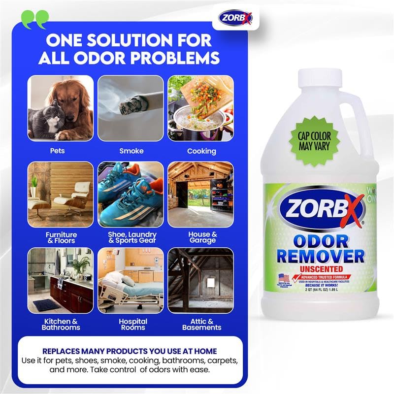 Alfombra tratada con ZORBX Eliminador de Olores sin fragancia.