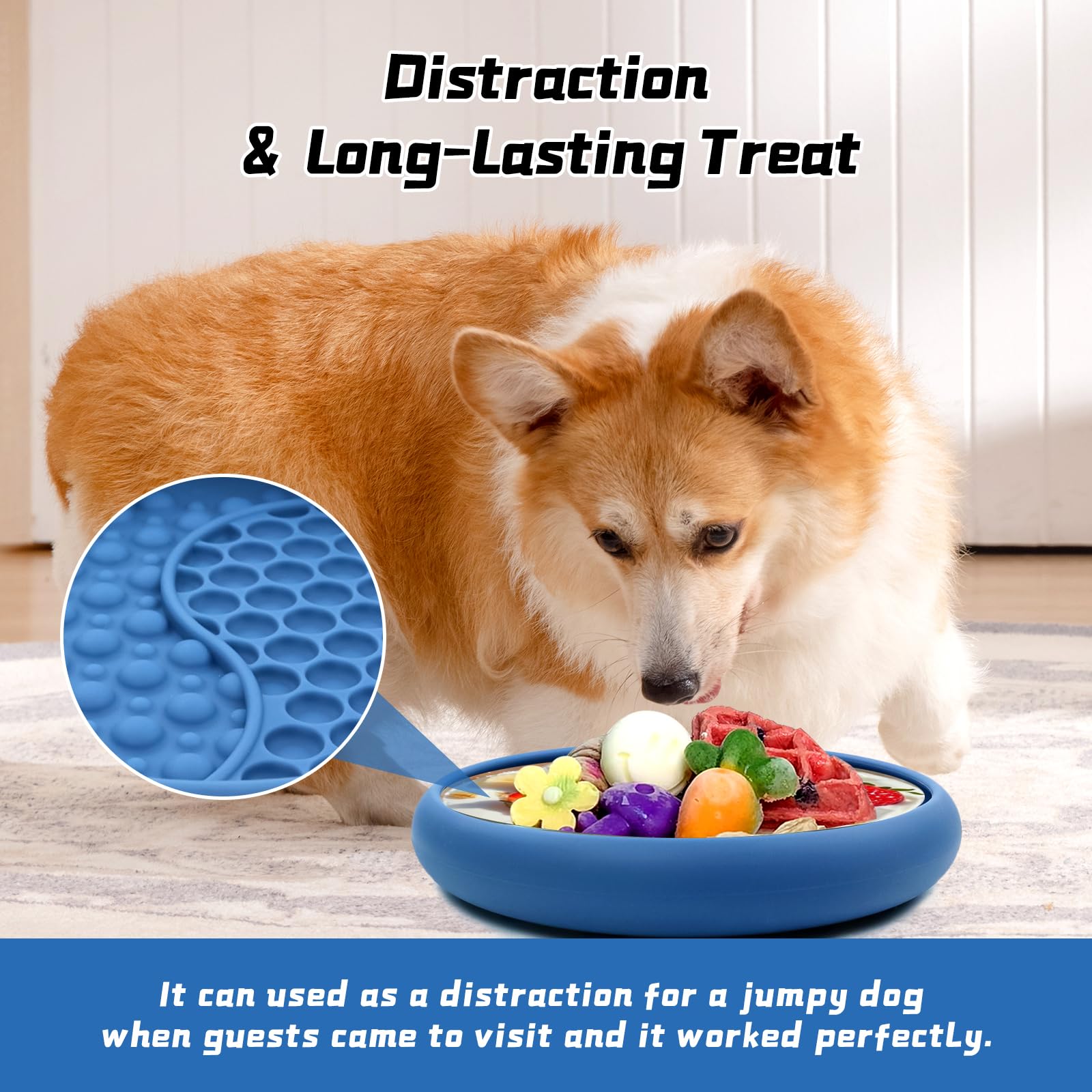 Enriquecimiento para perros con ZOURYNUA, reduce el aburrimiento durante la comida