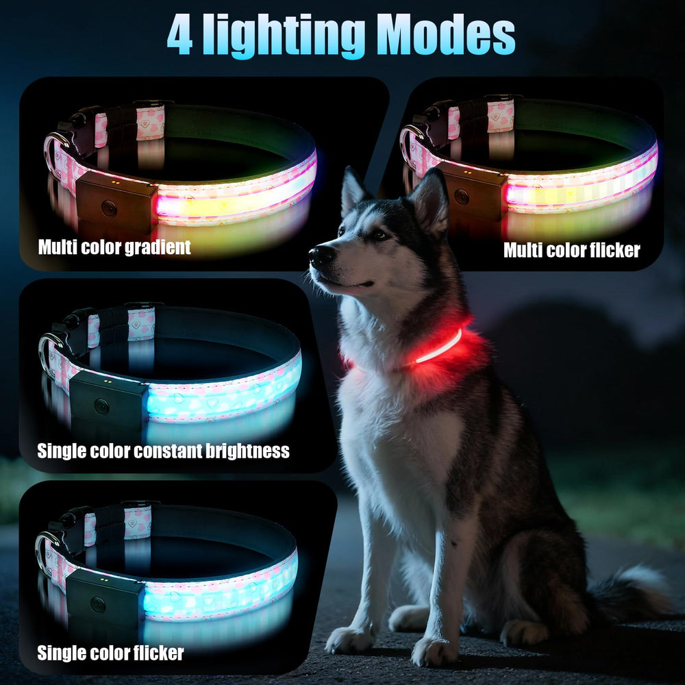 Carga magnética rápida para ZOWPET collar LED, listo en pocas horas.