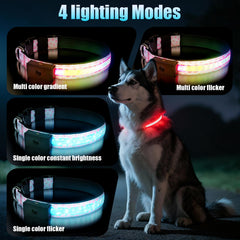 ZOWPET collar LED con carga magnética para uso práctico