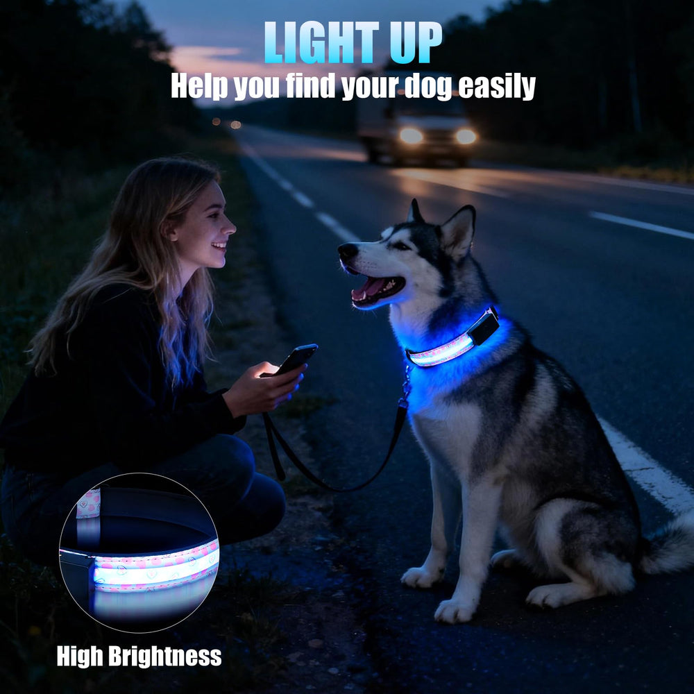 ZOWPET collar LED con modos de iluminación para distintos escenarios