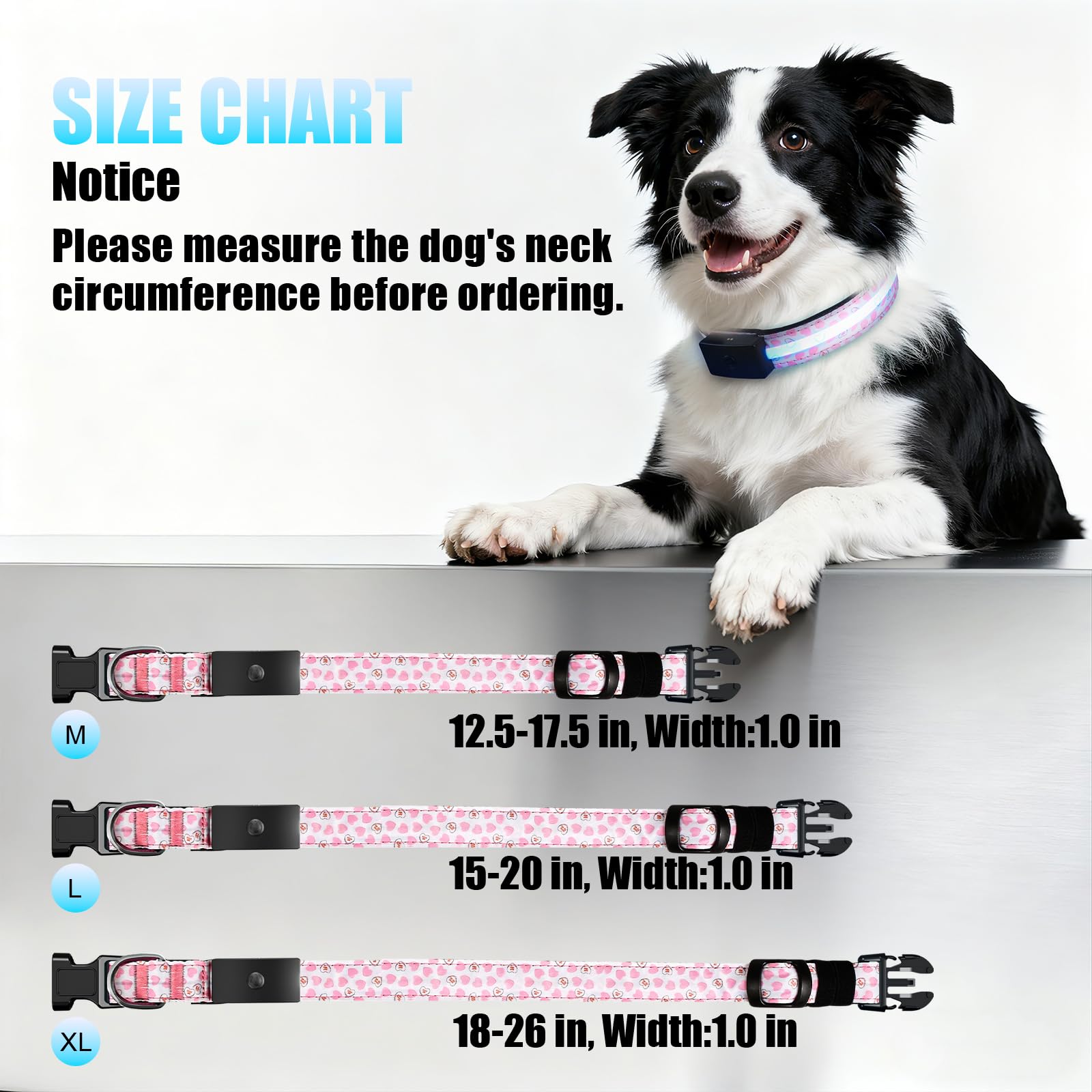 ZOWPET Collar LED para paseos nocturnos seguros y visibles.