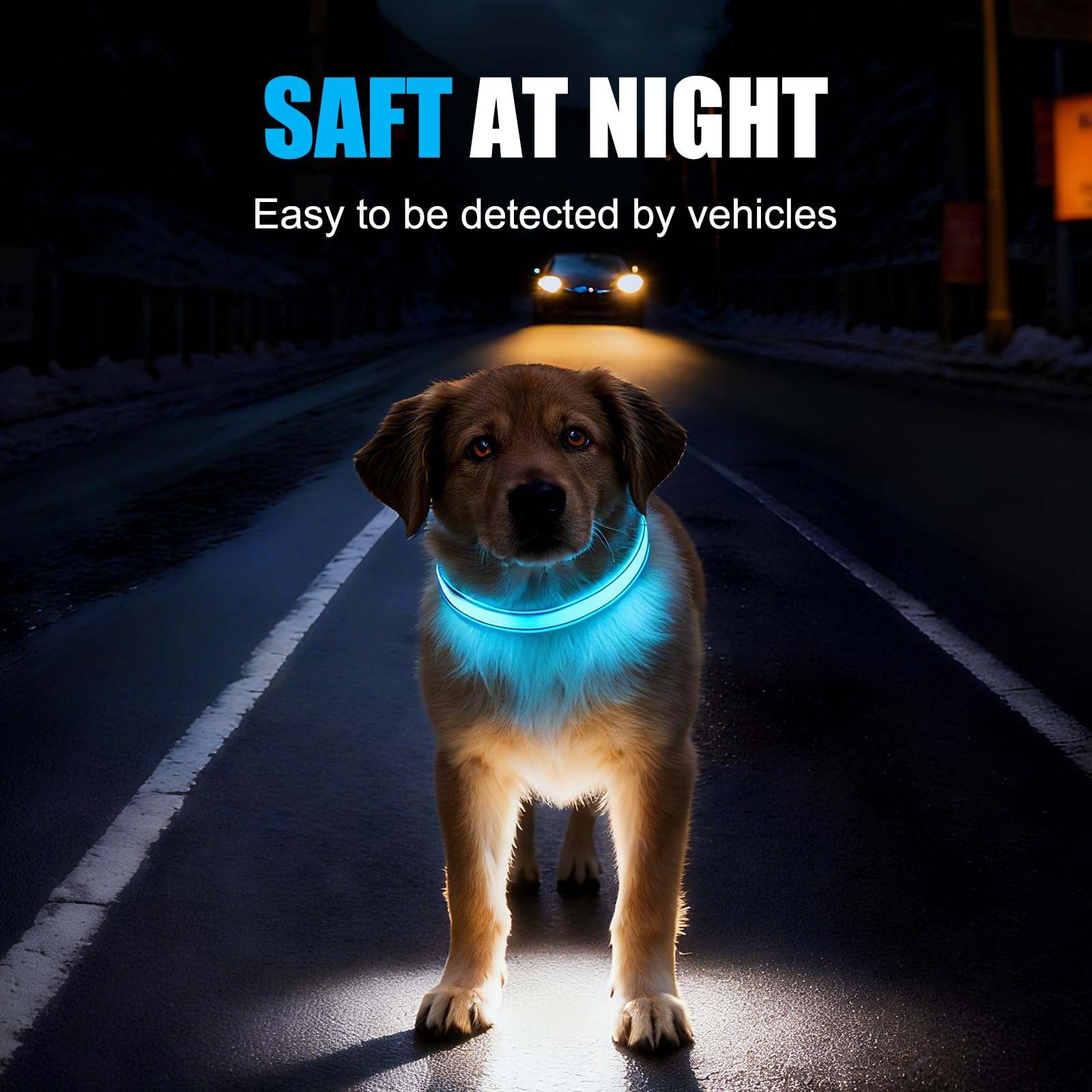 ZOWPET collar LED ajustable para perros de diferentes tamaños.