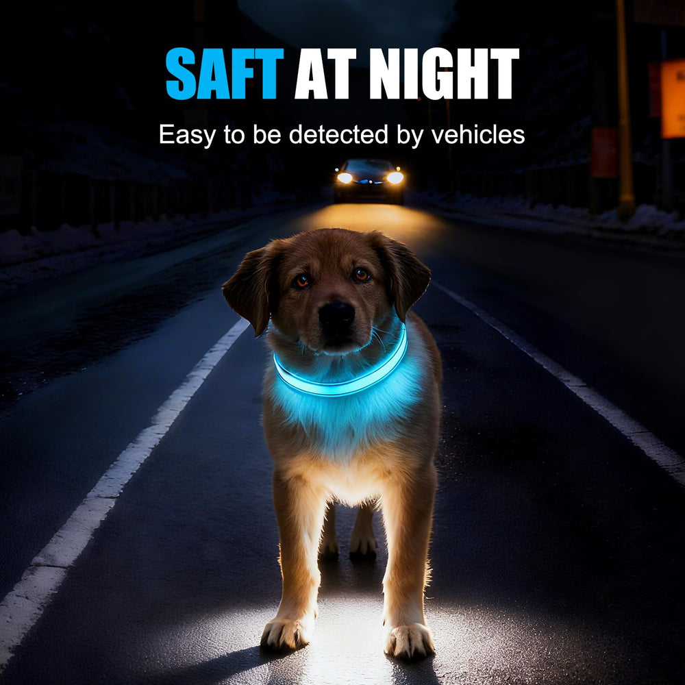 ZOWPET collar LED ajustable para perros de diferentes tamaños.