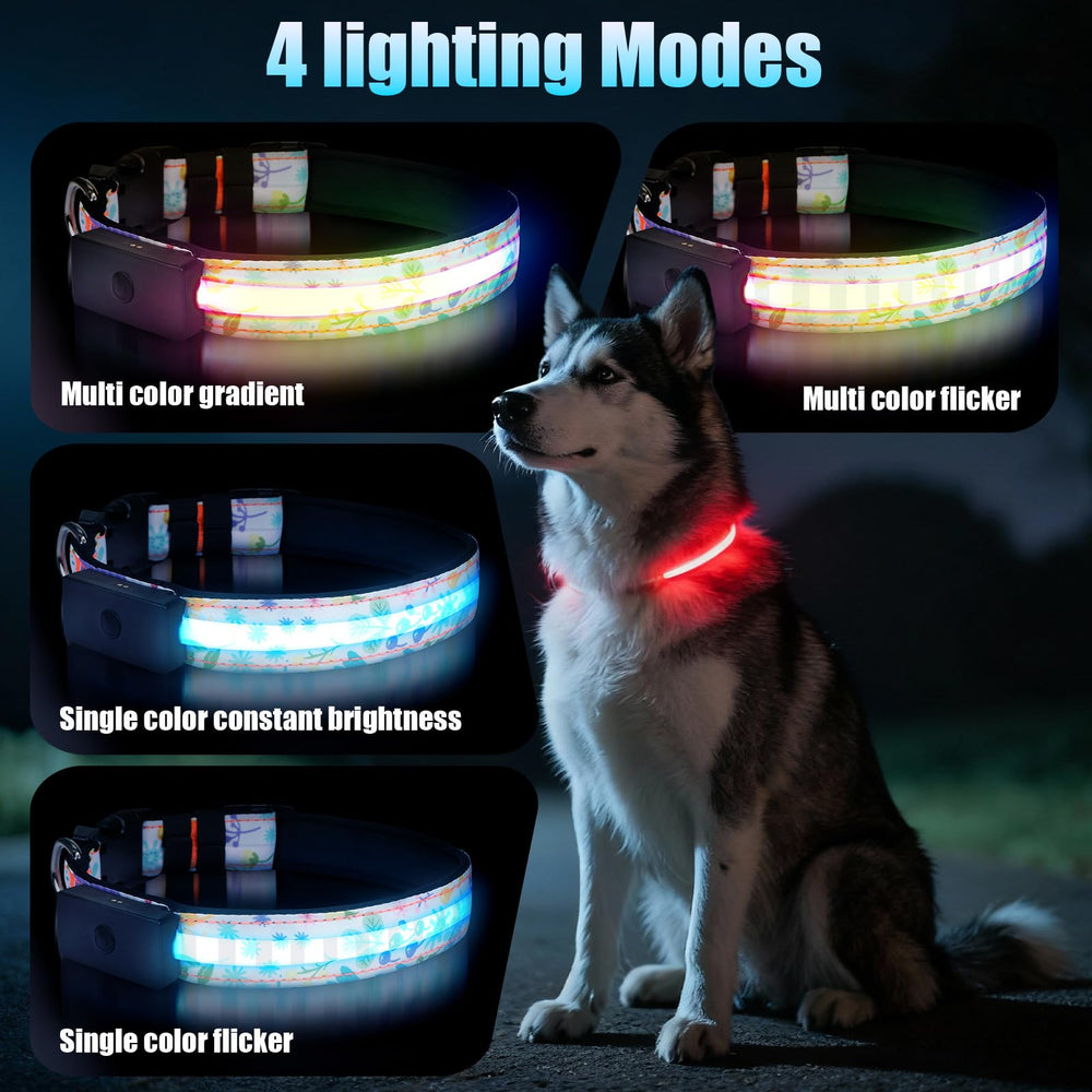 ZOWPET collar LED con carga magnética y batería de larga duración