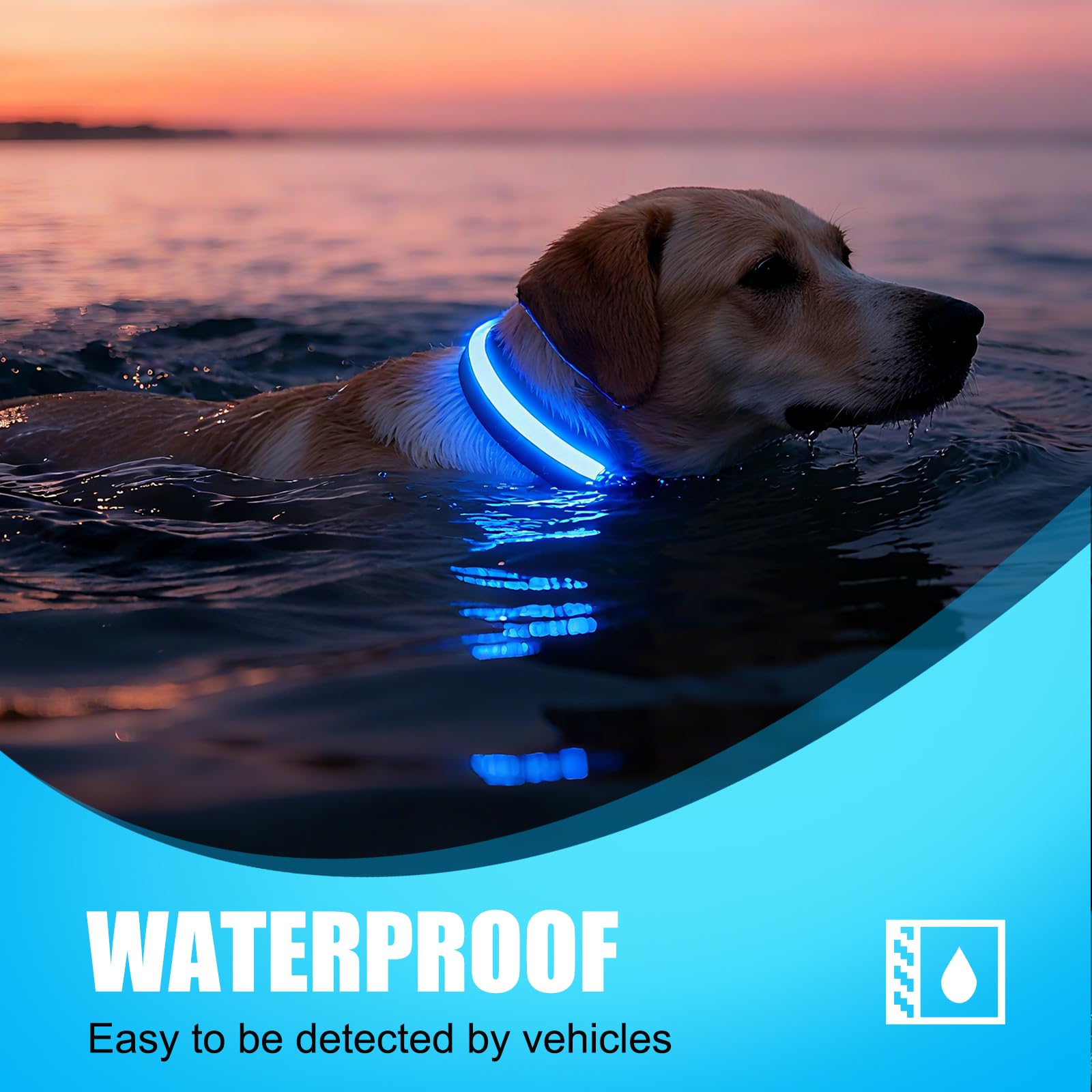 ZOWPET collar LED con carga magnética para recargas rápidas y prácticas.