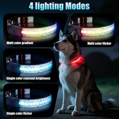 ZOWPET collar LED con carga magnética y batería de larga duración