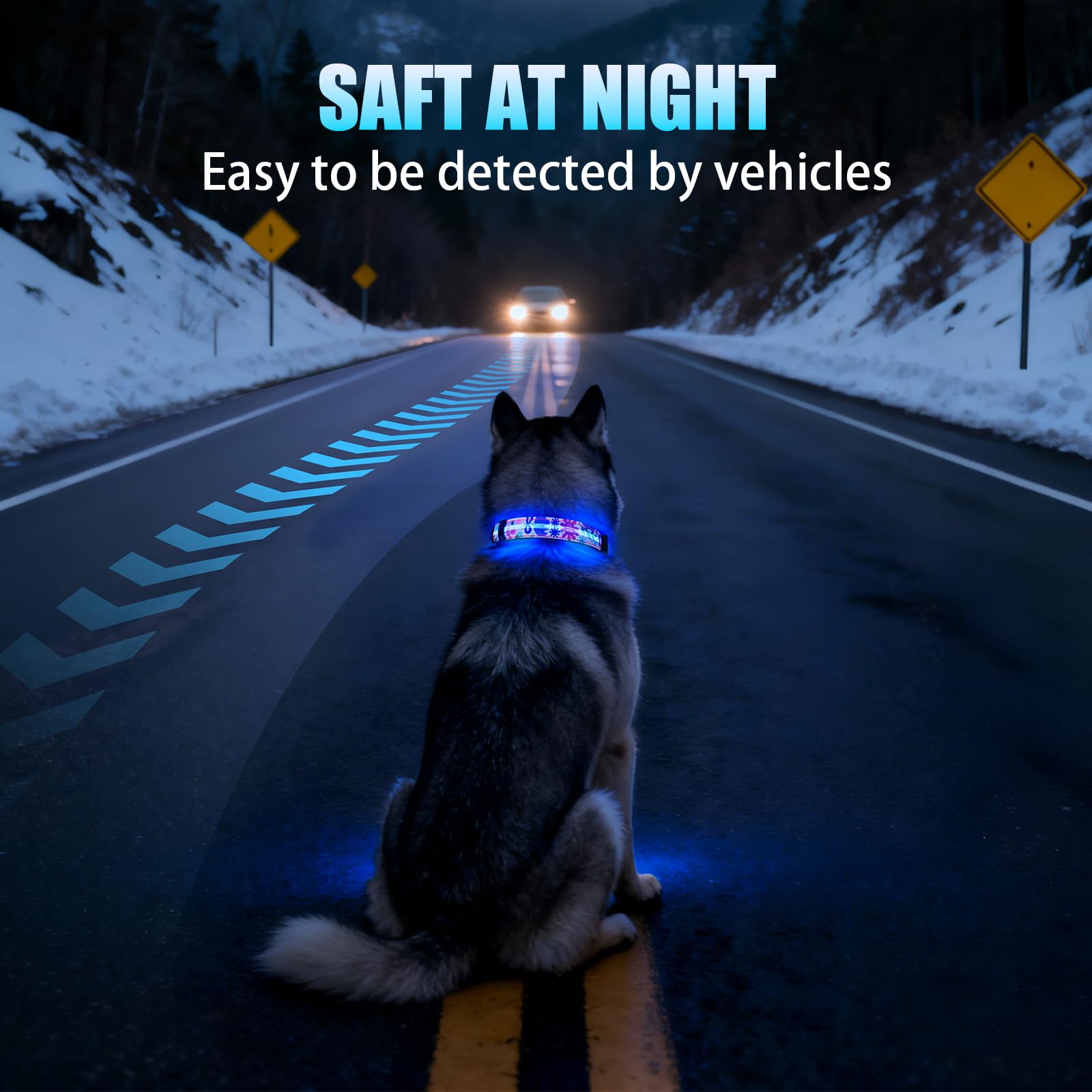 Ideal para paseos nocturnos con alta visibilidad y seguridad