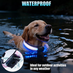 ZOWPET collar LED 1600 pies de visibilidad para caminatas seguras