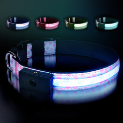 ZOWPET Collar LED con visibilidad frontal nocturna para paseos seguros.