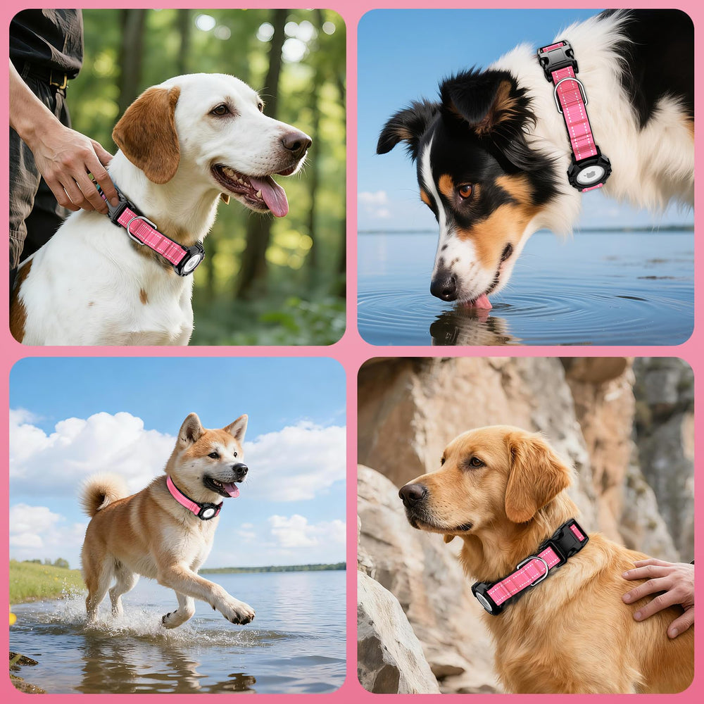 Collar ZOWPET IP68, protegido contra agua y polvo para aventuras al exterior.