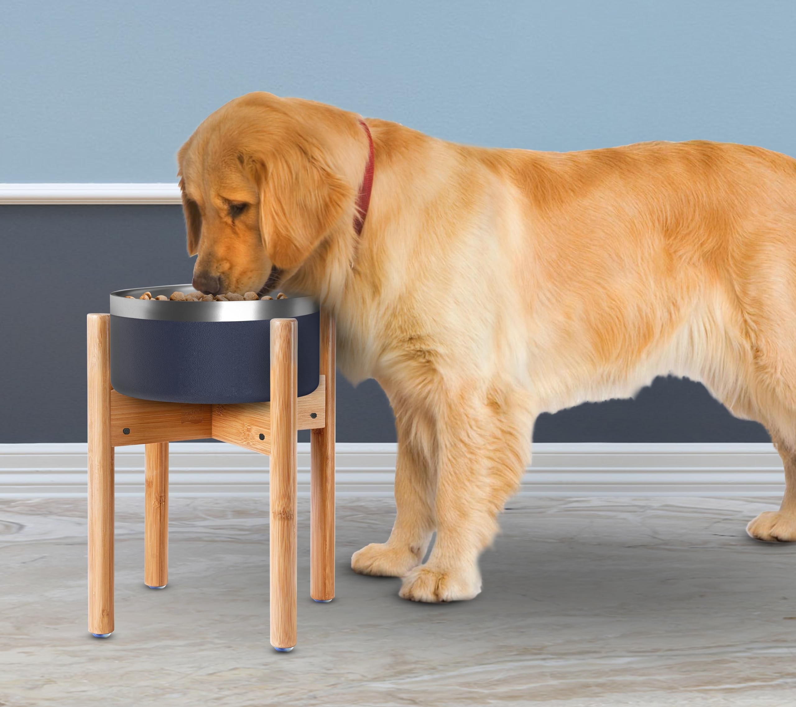 Diseño ergonómico de ZPirates para la comida del perro.