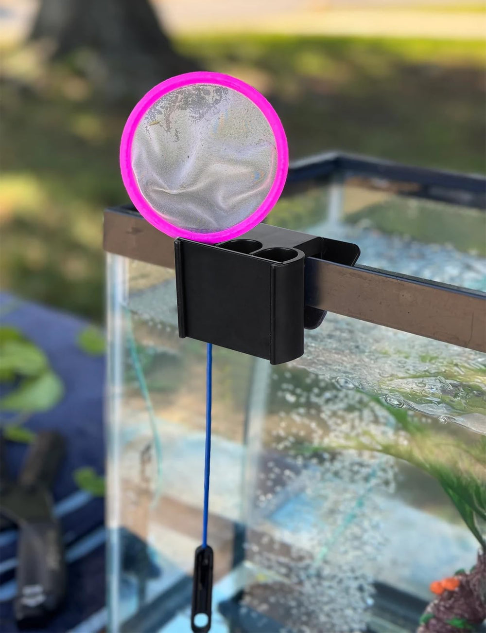 Ztzfacai mejora la calidad del agua al promover circulación en acuario.