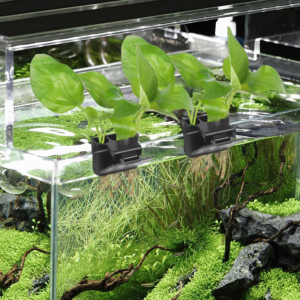 Ztzfacai dos-pack negro, presentación elegante para decoración de acuario.