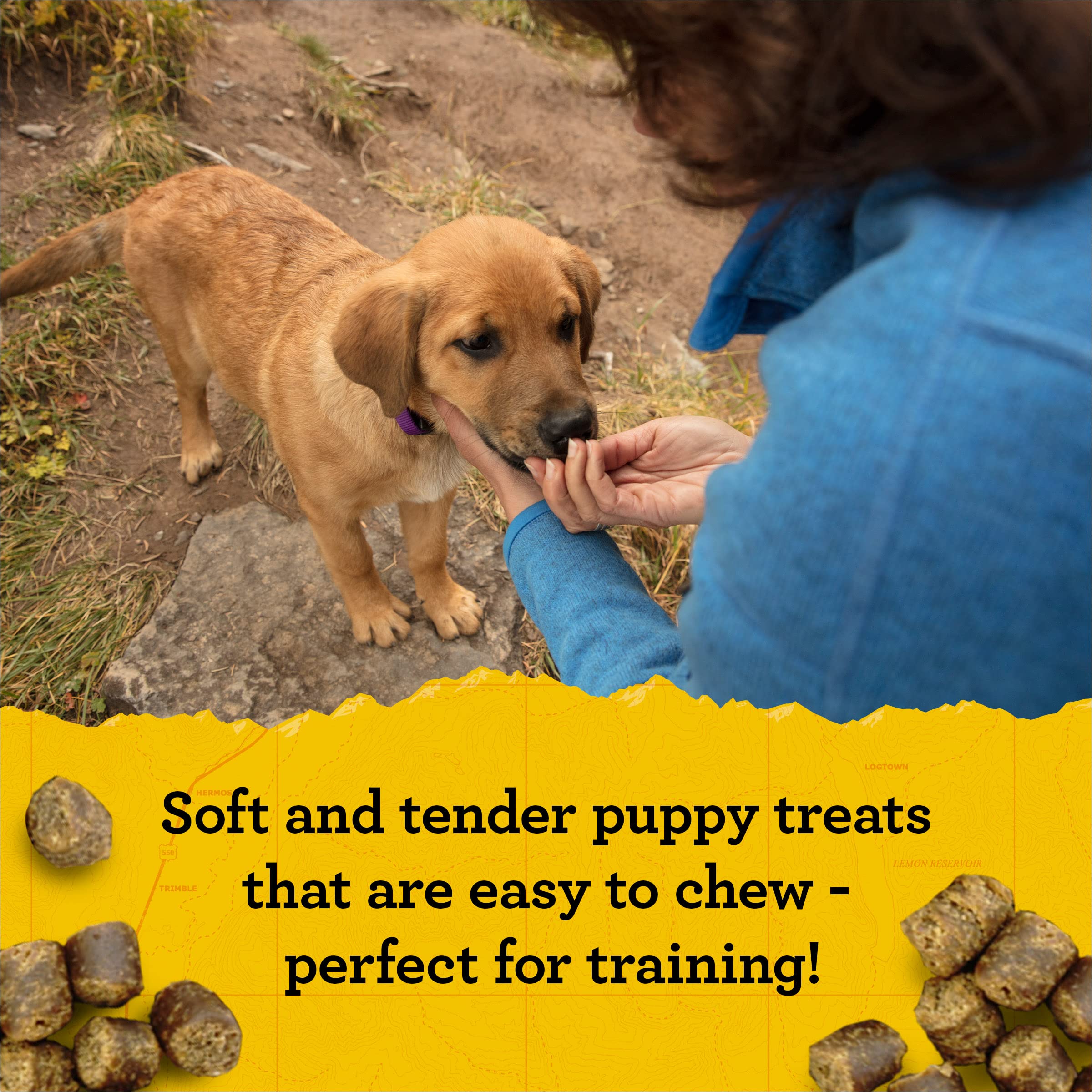 DHA y EPA en Zukes Puppy Naturals para desarrollo cognitivo