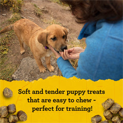 DHA y EPA en Zukes Puppy Naturals para desarrollo cognitivo