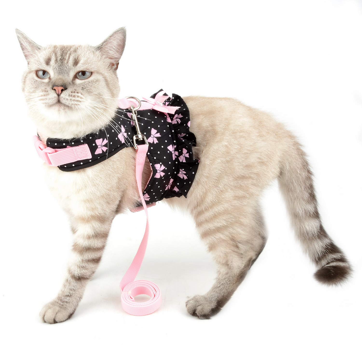 Zunea arnés para gato miniatura, cómodo y fácil de colocar para paseos.