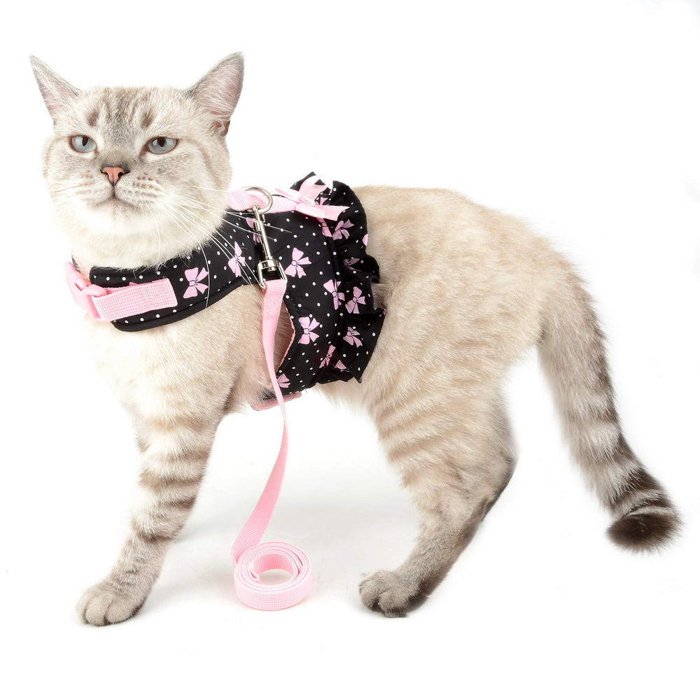 Zunea arnés para gato miniatura, cómodo y fácil de colocar para paseos.