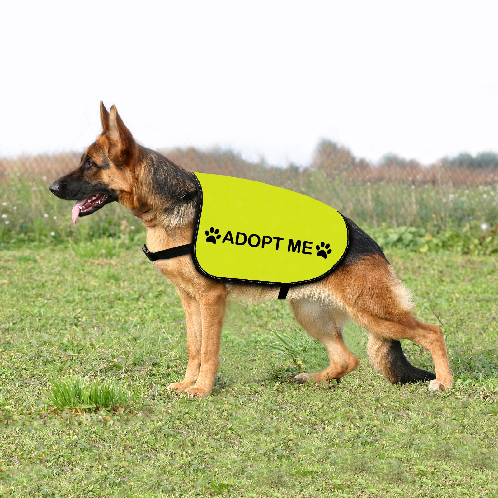Zuo Bao Rescue: talla mediana para perros entre 11 y 18 kg.