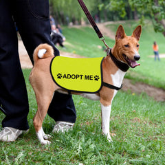Zuo Bao Rescue: dorso con impresión doble para visibilidad destacada.