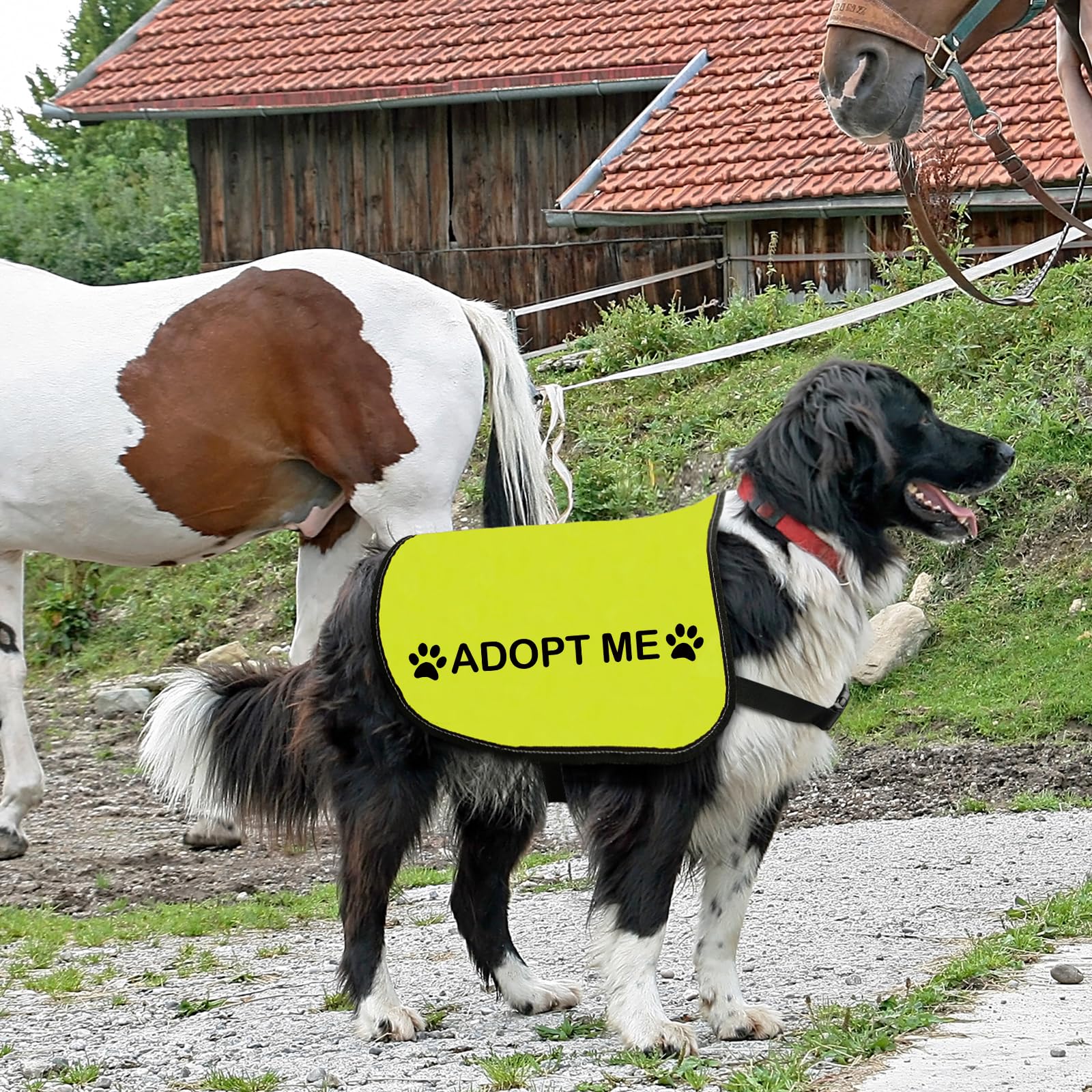 Zuo Bao Rescue: uso exterior cómodo para paseos diarios.