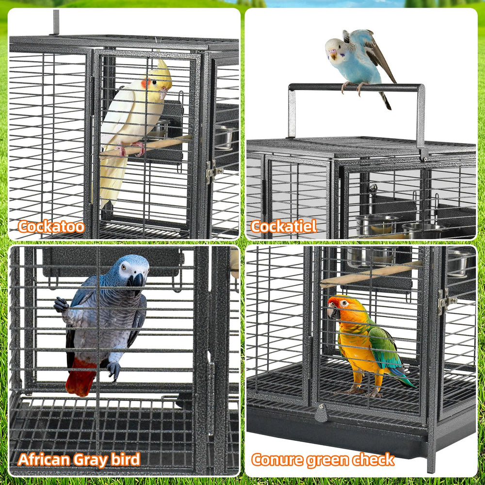 ZWanPing para aves medias, ideal para loros pequeños.