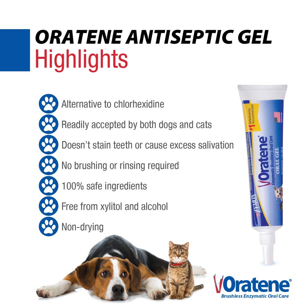 ZYMOX Oratene gel dental como alternativa a clorhexidina, sin alcohol ni xilitol