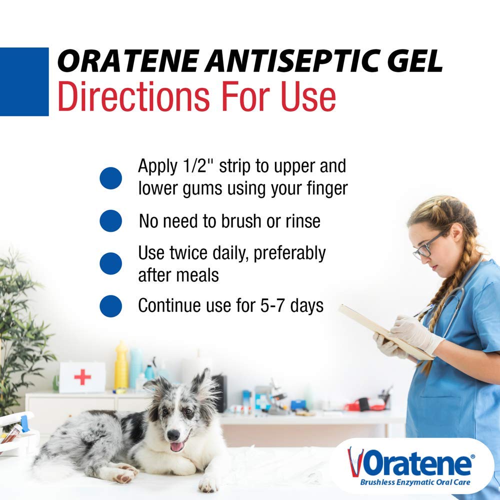 ZYMOX Oratene gel dental en envase de 1 onza para uso en casa
