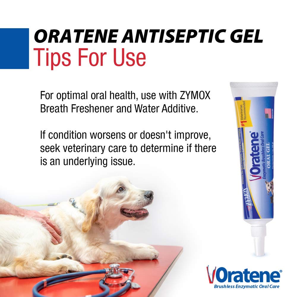 ZYMOX Oratene gel dental para uso diario en perros y gatos