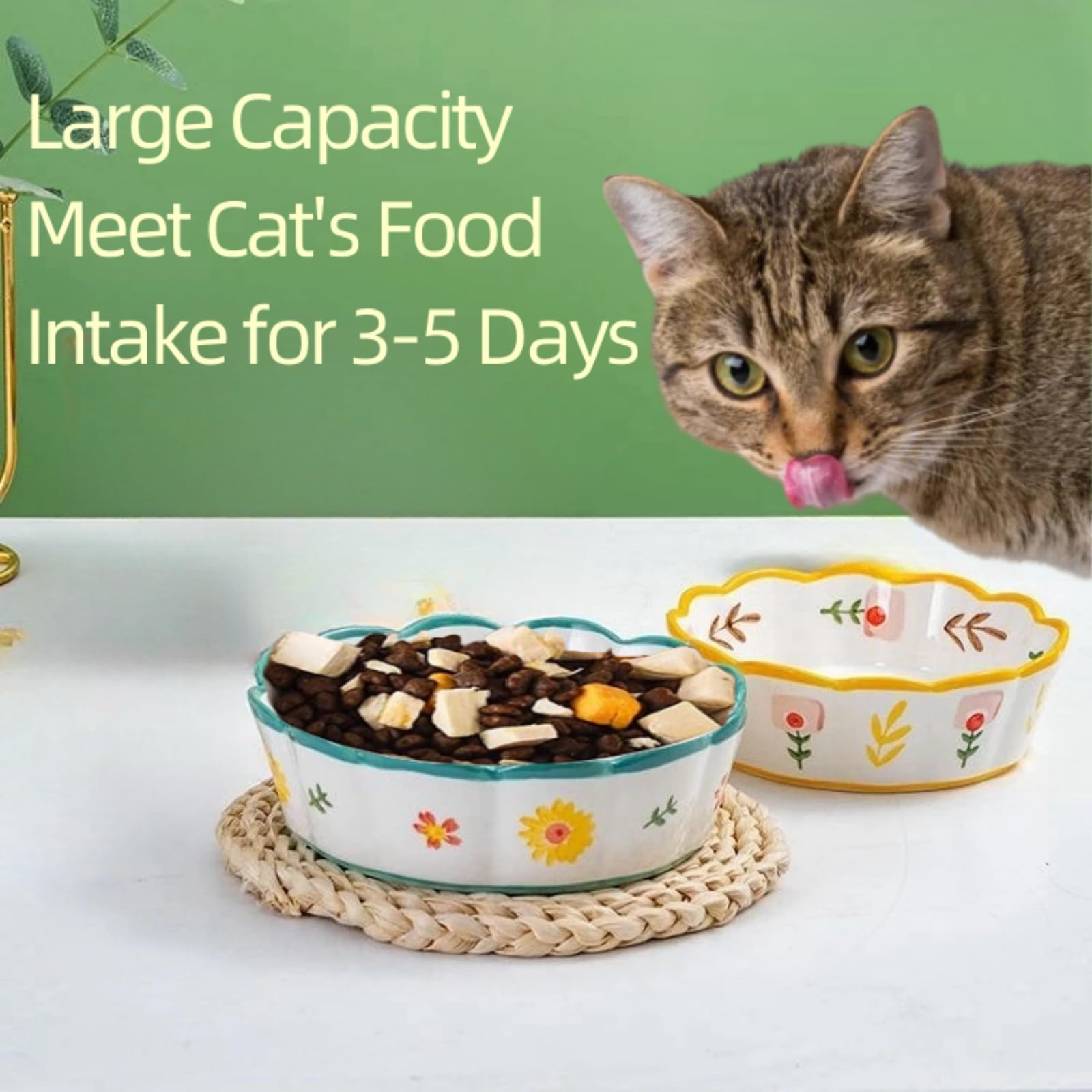 zyutong gran capacidad para dos gatos, espacio suficiente para comida y agua.